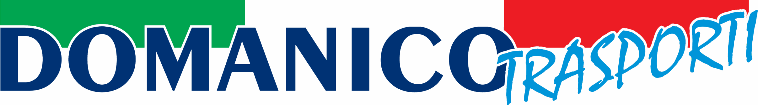 Logo-Domanico-Traposti-a-Torino-Leini-Lombardore-provincia-per-il-nord-italia-02